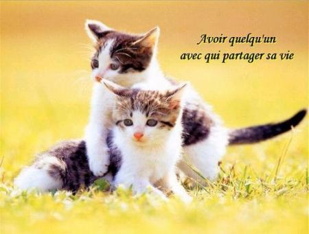 ak ki partager sa vie?